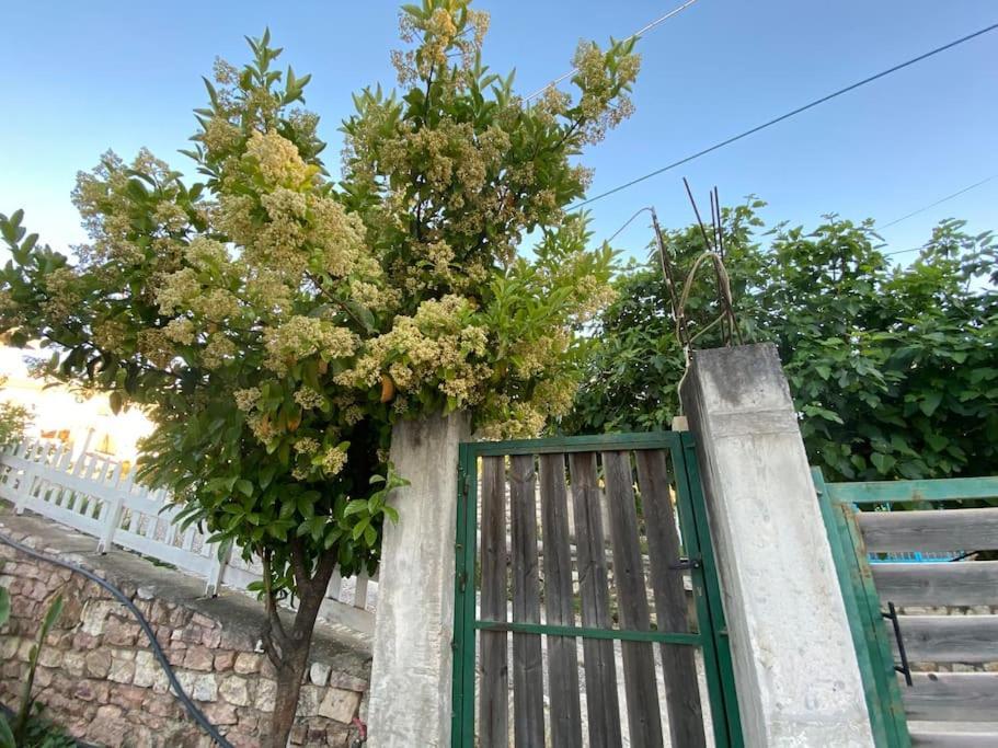 Guesthouse Xhimi Ksamil Exteriör bild